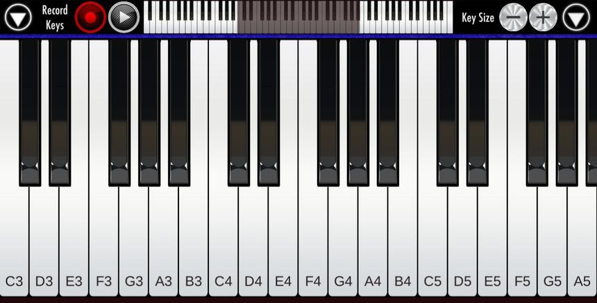 Real Piano-Piano Keyboard