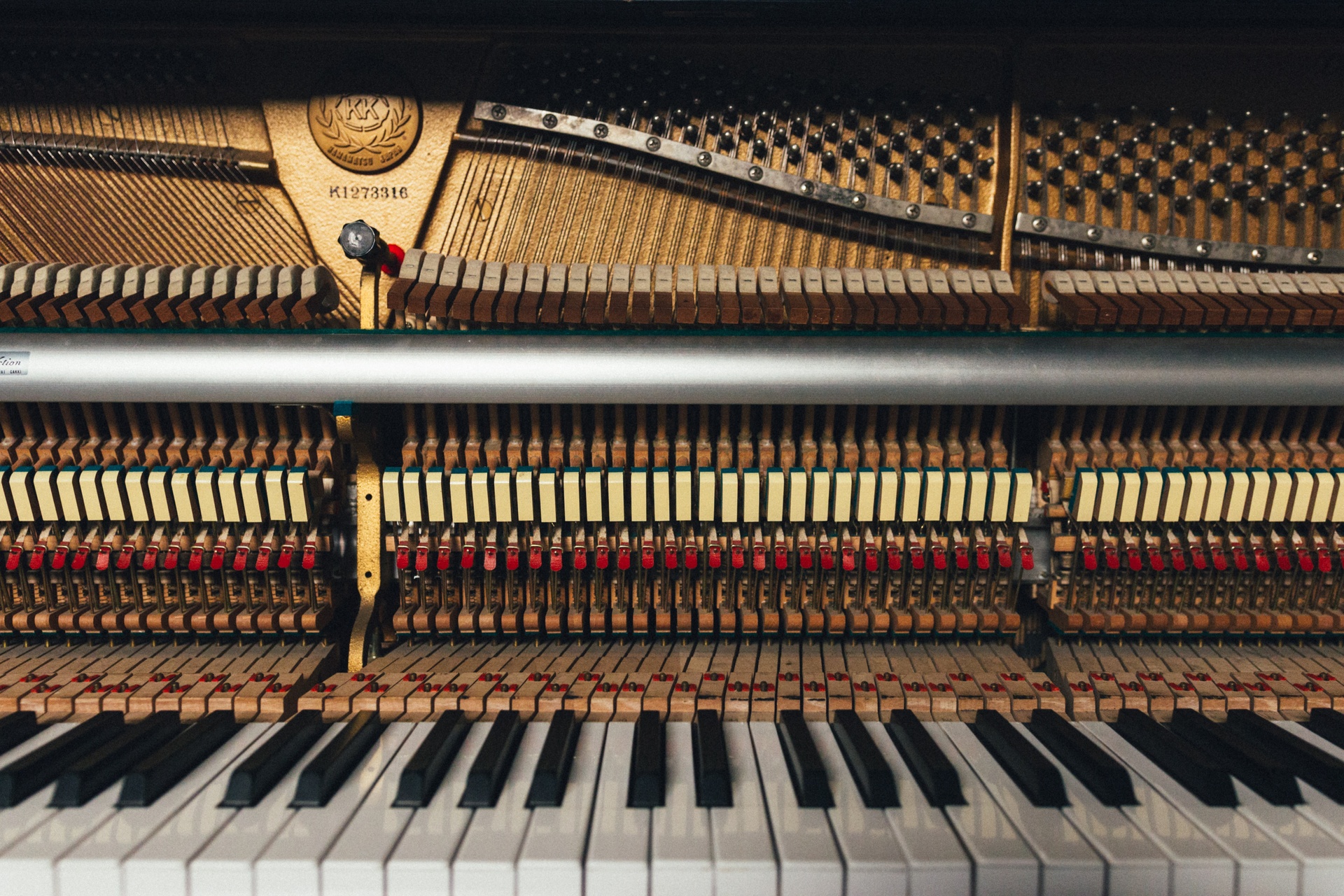 Organ Or Piano