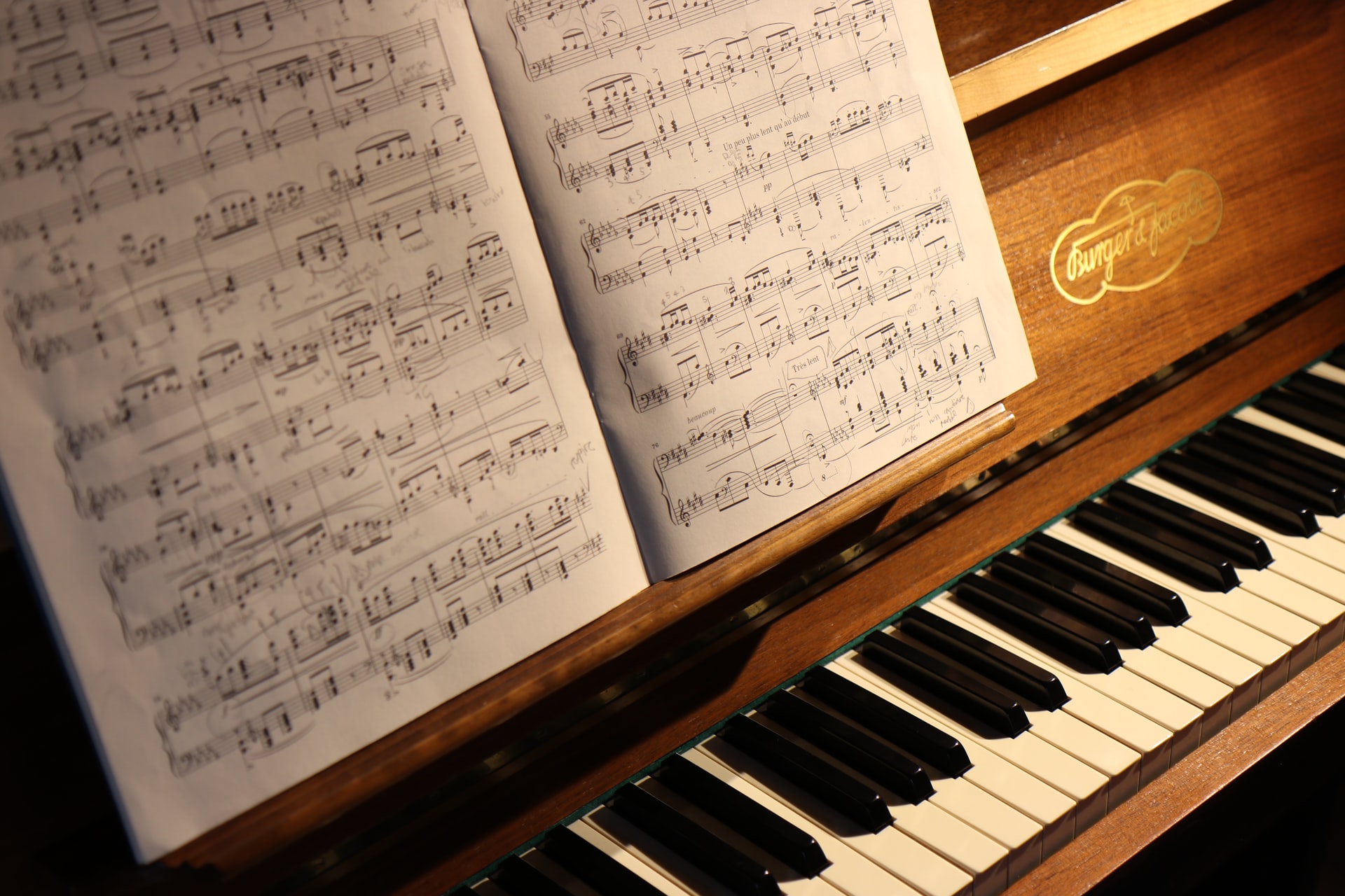 How Organs Become Piano - The History Of Keyboard Instruments