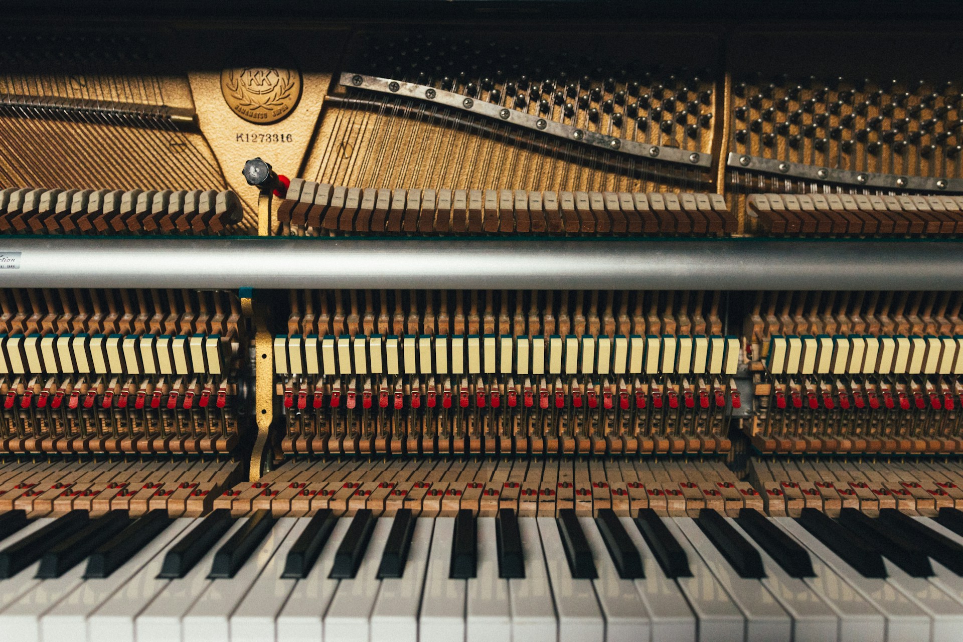 Interior view of a piano showing strings, hammers, and mechanical parts aligned above the keyboard